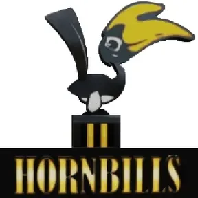 Hornbills AutoDJ