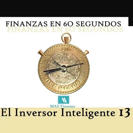 El Inversor Inteligente 13
