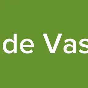 Pedro Henrique de Vasconcelos ribeiro