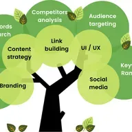 India's Top SEO Service Provider