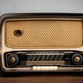 MixFM1