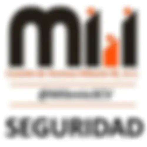 Seguridad Milenio III