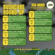 Dr Ascelin Gordon - AI