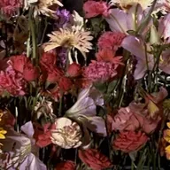 Veinticuatro años y un día #1. Géneros: 'La piel, la carne, el esqueleto'