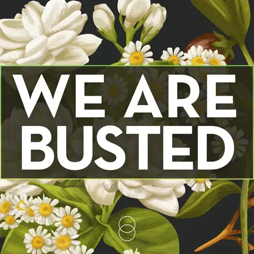 Being Human: We Are Busted | Romans 7:7-24