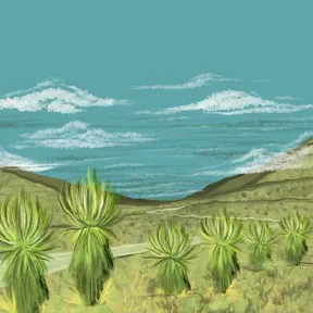 Campesinado Sumapaceño Transformando Territorio