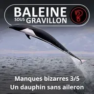 S07E110 Vous avez dit bizarre ? Manques 3/5 : Le Dauphin aptère, un voltigeur sans aileron