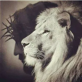 DIOS ES FIEL OFICIAL