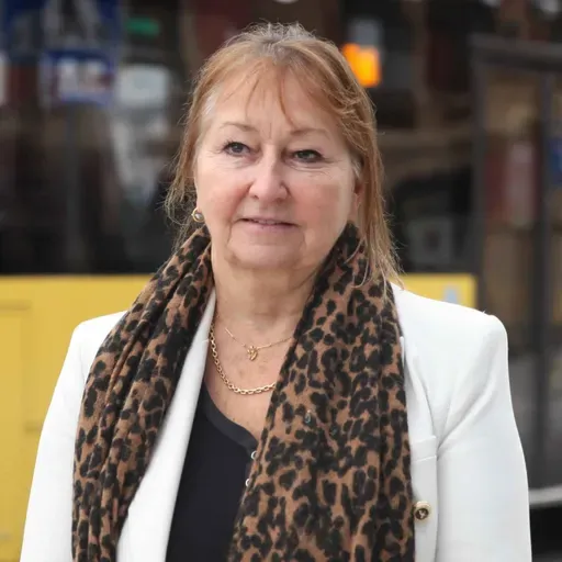 Kollektivkrisen i fylkene