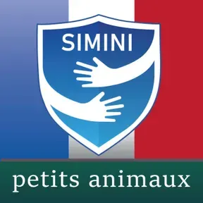 Simini sur la chirurgie des petits animaux Podcast