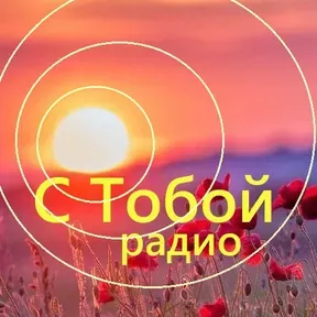S TOBOY radio