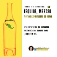 Réglementation du Bacanora : Une immersion sonore dans la loi NOM 168.