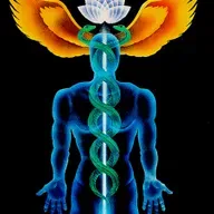 Alchemical Circulation of the Light