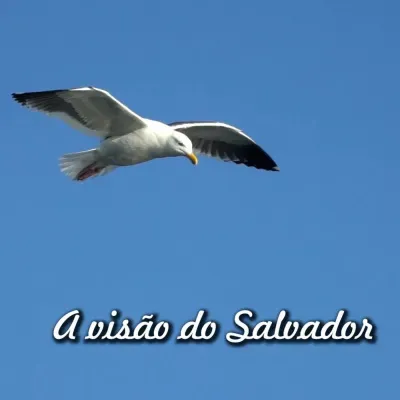 Reflexão 089 - A visão do salvador