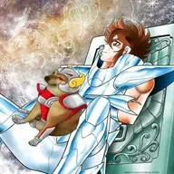 Termino el manga de Saint Seiya Next Dimensión.