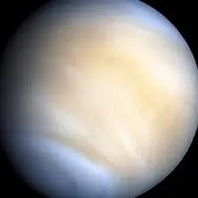VENUSS