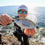 Jaume Barceló, la pesca en Baleares, mejor que nunca, Rockfishing, Spinning y por supuesto Eging, para calamar y Sepia
