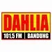 Radio Dahlia