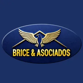 BRICERADIO