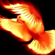 Pt. 7 Cincuenta Cosas/Fifty Things . .