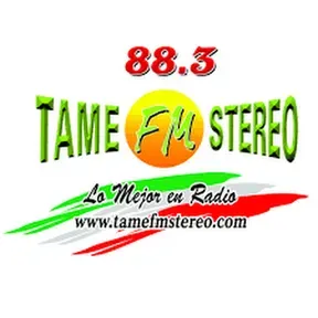 Tame Fm Stereo