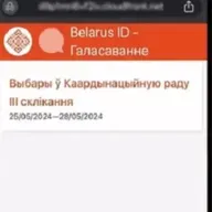 Алена Прыходзька, Павел Лібер. DDoS-атакі ці ігнор выбарцаў: ад чаго залежаў вынік выбараў у КР