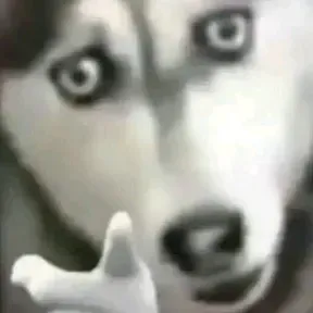 Cronos