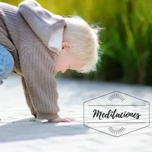 Jueves XXXI del Tiempo Ordinario