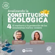 El maritorio y la protección de los ecosistemas marino-costero