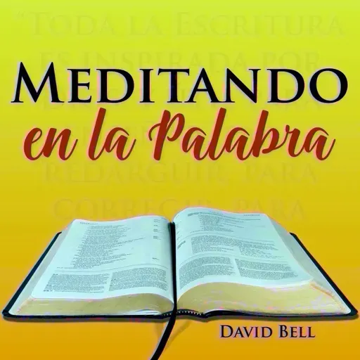 MelP_333-Numeros_15_39