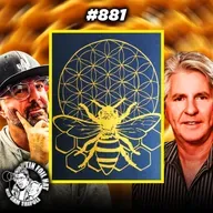 #881:  The Sacred Geometry Of Bees With Brent Knudsen