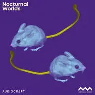 Soundscape - Spinifex Hopping Mouse