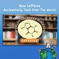How Caffeine Accidentally Took Over The World