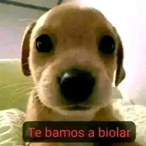 Josemusicaparasamp