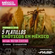 México Desconocido T3 | E8 - 5 Platillos exóticos en México con Víctor Zenteno
