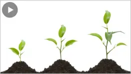 Как возрастать в молитве?