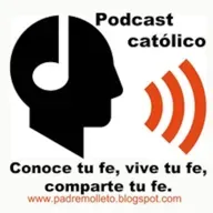 Vida de san Junipero Serra fraile franciscano