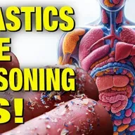 Here’s How To Fight Microplastics  Infecting Our Bodies & Brains! w/ Kim Bright