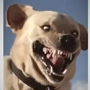 Anti depressivo