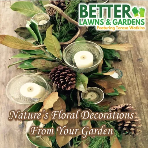 S2 Ep402: Better Lawns and Gardens - Hour 2 Nature Centerpieces November 15, 2025