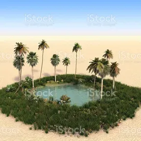 Oasis on line