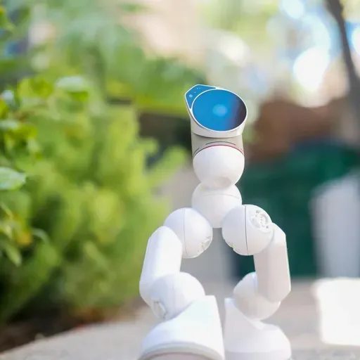 e530 — Vibe It! - Ready Player Chum