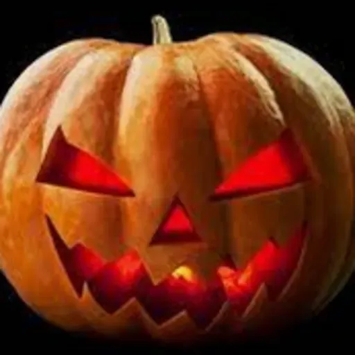 65 as gavetas do Alves Rosa