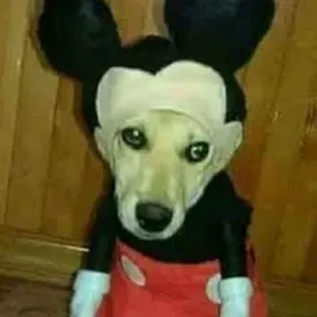 lesbicocosfm