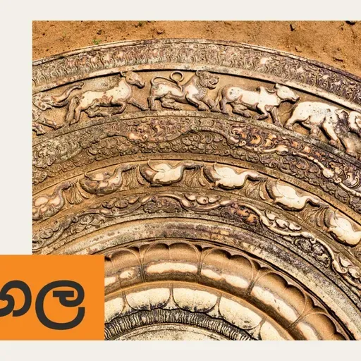 කාලීන විග්රහය: ඕස්ට්රේලියාව මේ සියවසේදී ගත් ලොකුම පාරිසරික ප්රතිසංස්කරණ සම්මත වෙයි