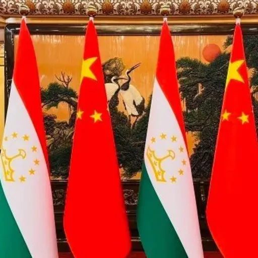 Tajikistan seeks closer economic ties with China through president's state visit