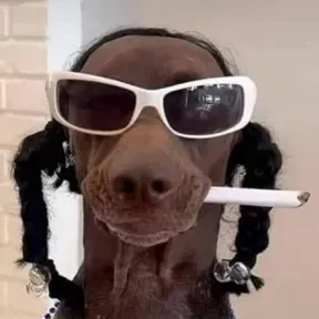 Drill x tiktok viral