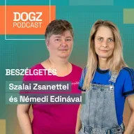 Még csak beszélni sem merünk róla: így zajlik az eutanázia