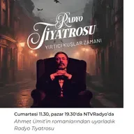 Radyo Tiyatrosu - Yırtıcı Kuşlar Zamanı - 5.Bölüm