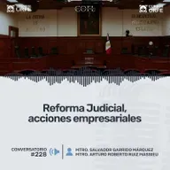 Reforma Judicial, acciones empresariales